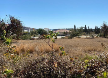 19f4c85f-1236-49c3-95ef-fcdeb009a8d3