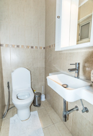 ace1e5b8-306c-4a99-9487-1faba83e7d2a