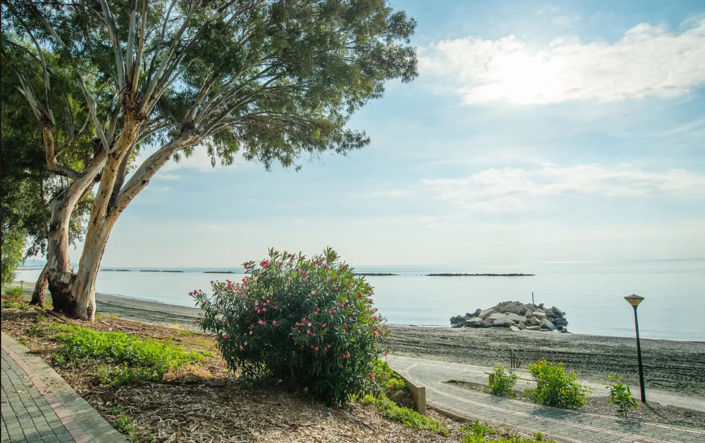 Image No.3-3 Bed Apartment for sale