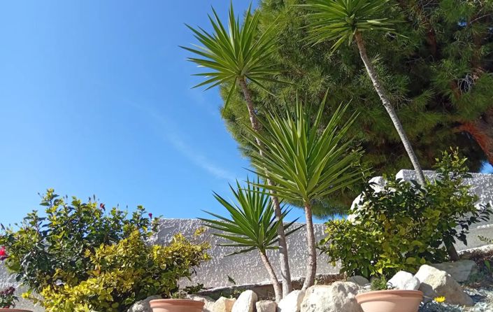 Image No.2-Maison de 2 chambres à vendre à Tala