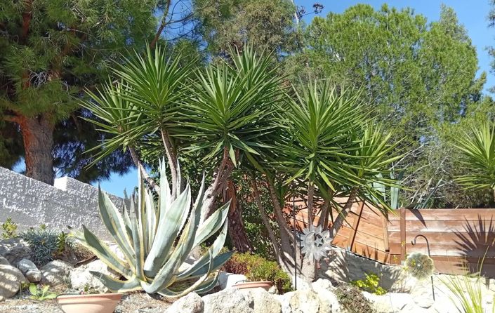 Image No.3-Maison de 2 chambres à vendre à Tala