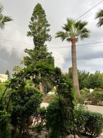 4b109acc-7b87-4bc2-89b7-01e7f6b650a9