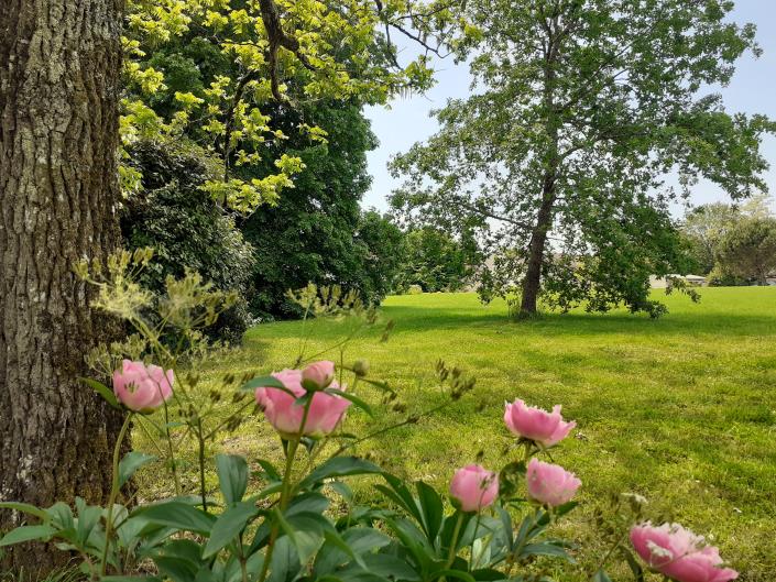 Image No.7-4 Bed Farmhouse for sale