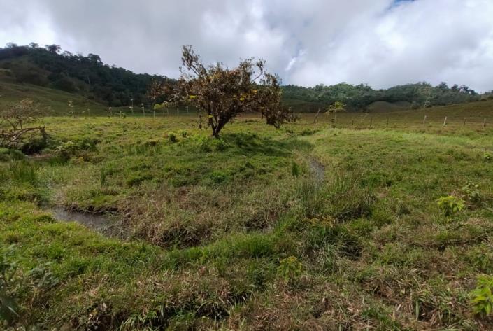 Image No.9-Land for sale