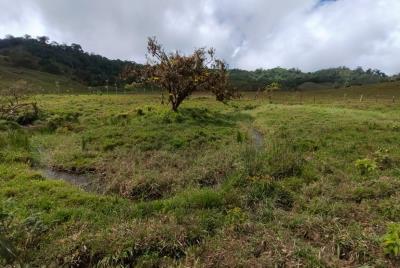 Finca22--1-