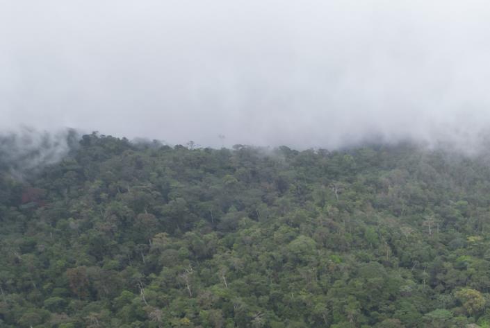 Image No.14-Land for sale