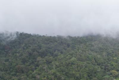 finca26