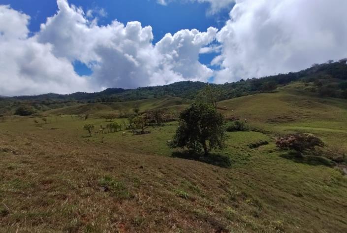 Image No.17-Land for sale