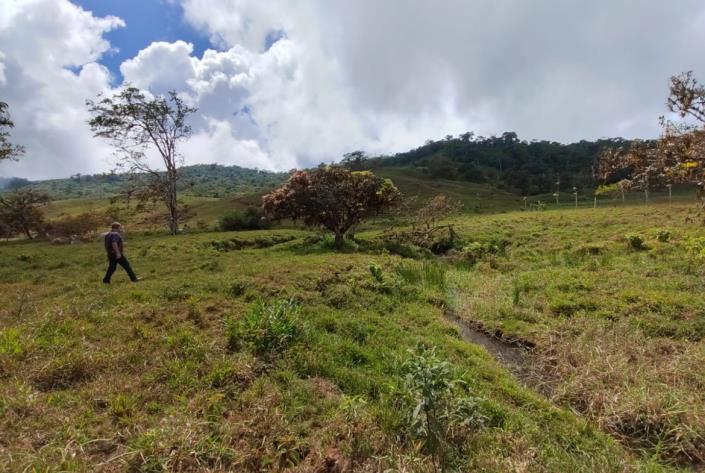 Image No.19-Land for sale