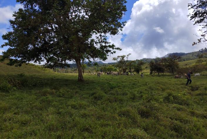 Image No.5-Land for sale