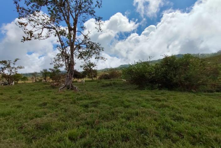 Image No.20-Land for sale