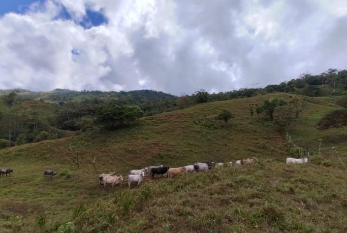 Image No.26-Land for sale