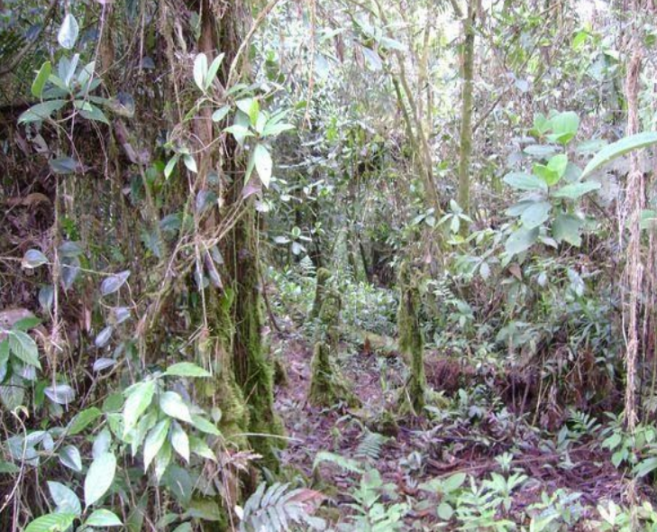 Image No.25-Land for sale