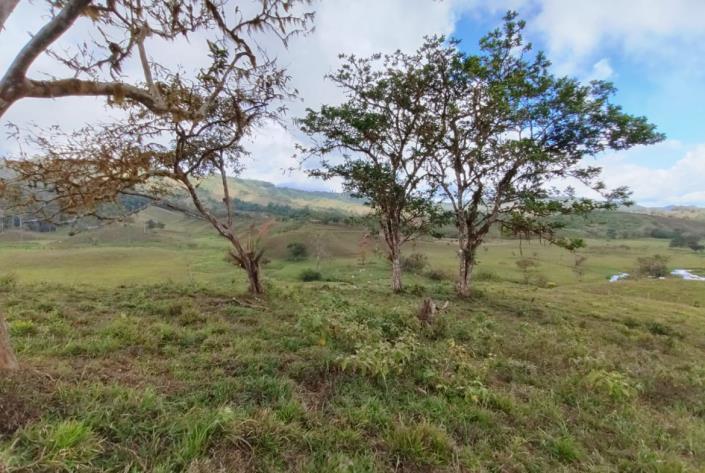 Image No.27-Land for sale