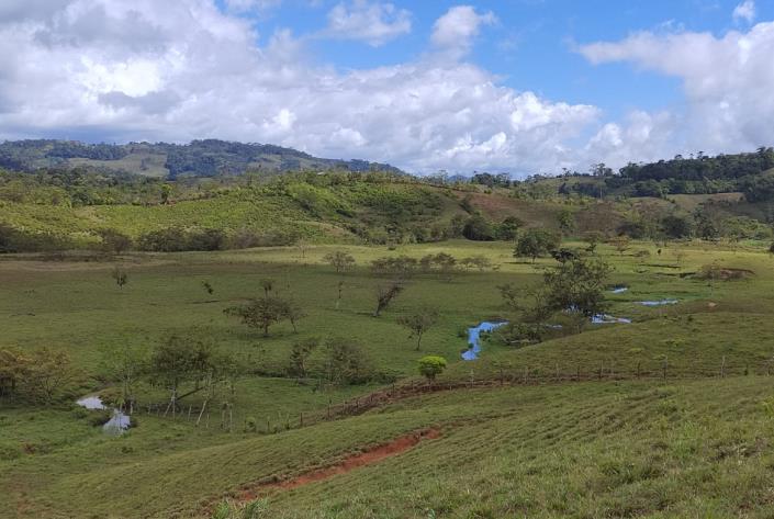 Image No.29-Land for sale