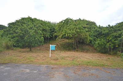 1 - Christchurch, Property