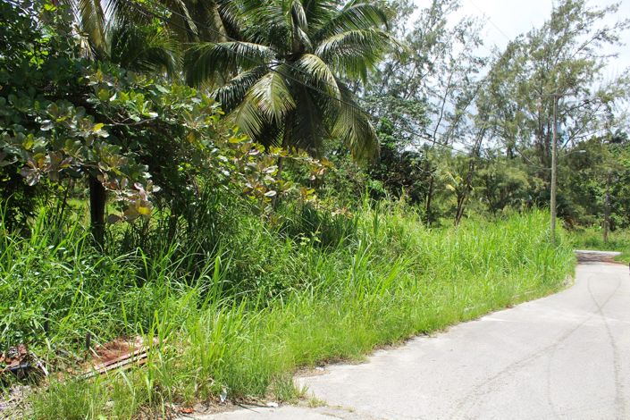 Image No.11-Property for sale