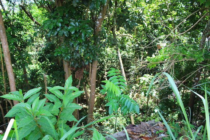 Image No.15-Property for sale