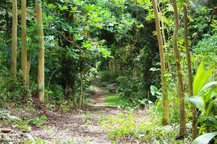 Image No.2-Property for sale