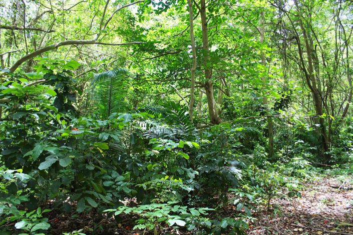 Image No.3-Property for sale