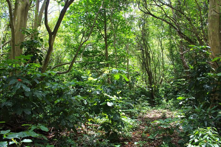 Image No.5-Property for sale