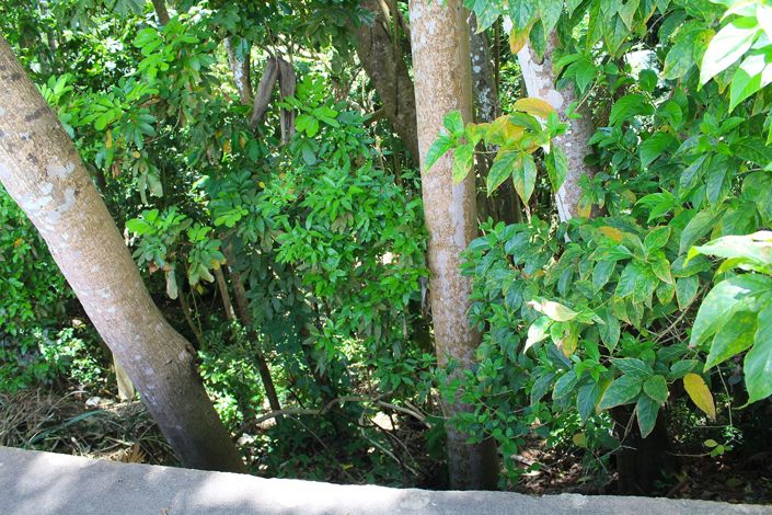 Image No.5-Property for sale