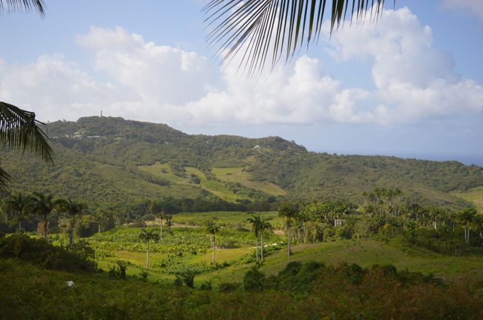 Image No.1-Property for sale