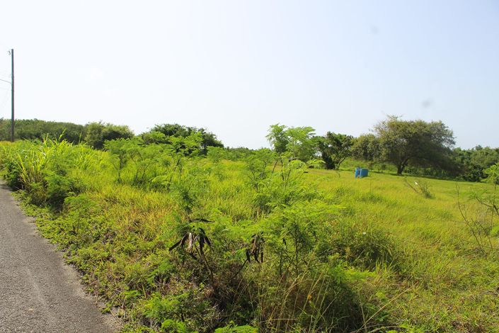 Image No.6-Propriété à vendre à St Philip