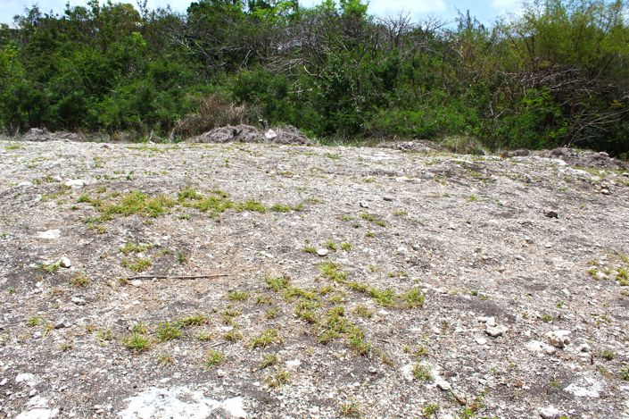 Image No.9-Property for sale