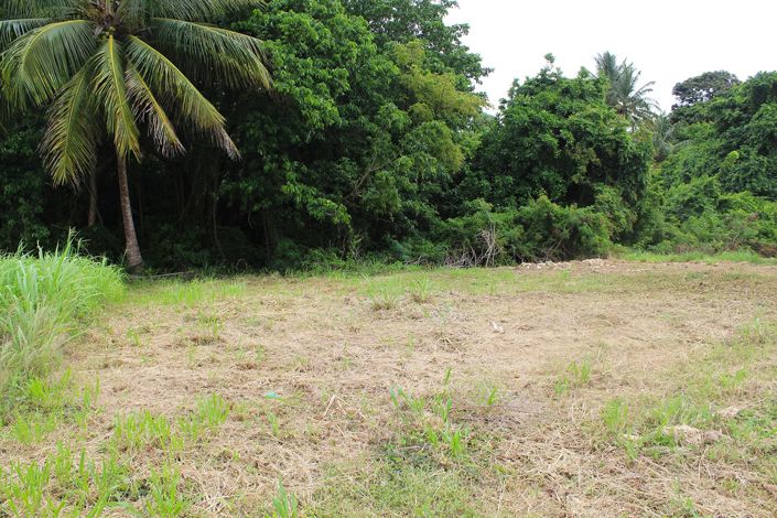 Image No.7-Propriété à vendre à St John