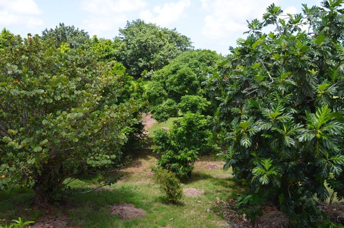 Image No.12-Propriété de 6 chambres à vendre à St George