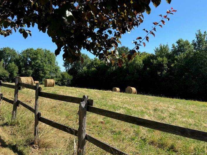 Image No.20-Maison de 3 chambres à vendre à Puy-l'Eveque