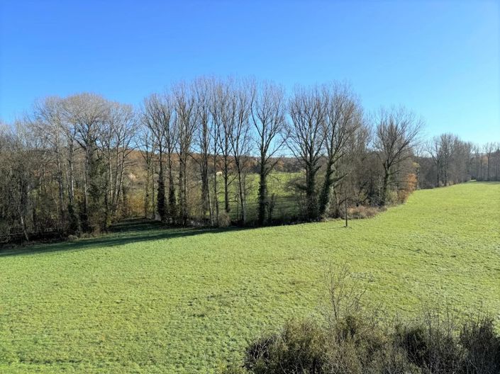 Image No.5-11 Bed House for sale