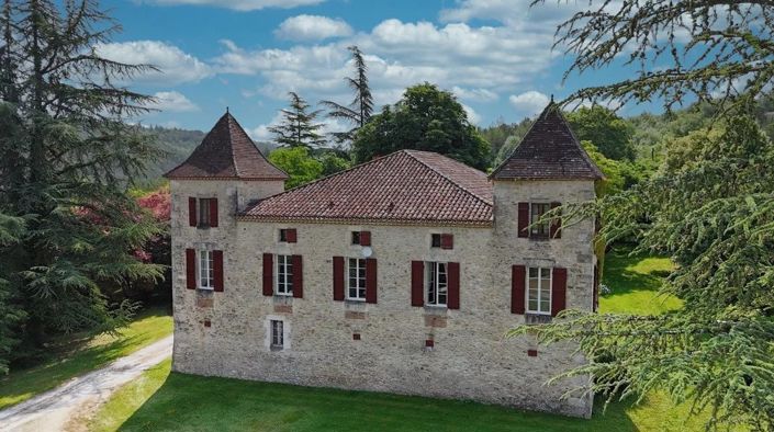 Image No.1-Châteaux de 12 chambres à vendre à Tournon d'Agenais