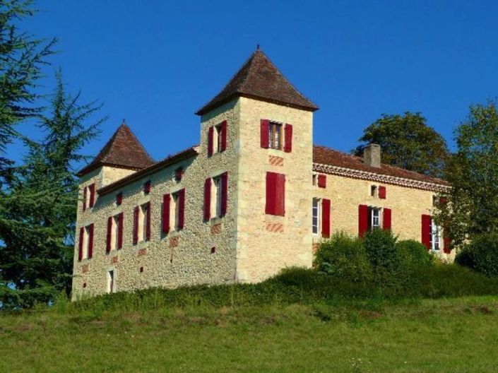 Image No.3-Châteaux de 12 chambres à vendre à Tournon d'Agenais