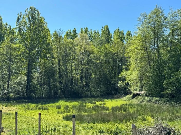 Image No.5-Maison de 3 chambres à vendre à Cazals