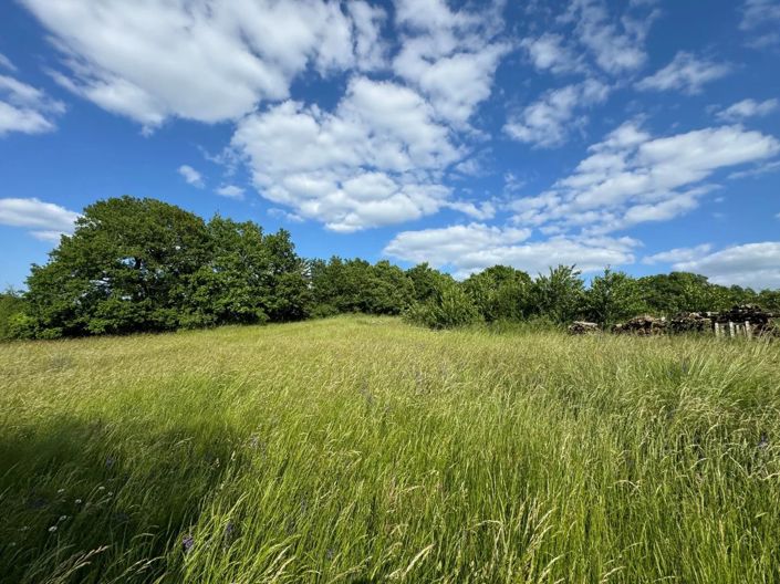 Image No.3-Maison de 1 chambre à vendre à Lot