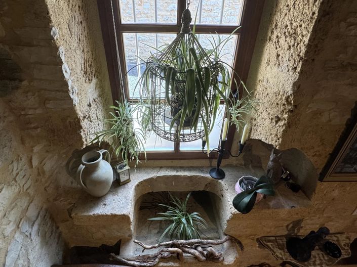 Image No.25-3 Bed House for sale