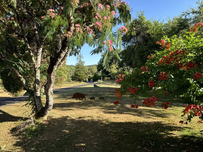 Image No.18-Maison de 4 chambres à vendre à Les Arques