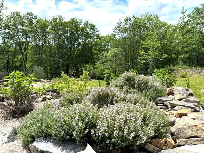 Image No.24-Maison de 3 chambres à vendre à Salviac