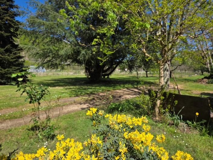 Image No.16-3 Bed House for sale