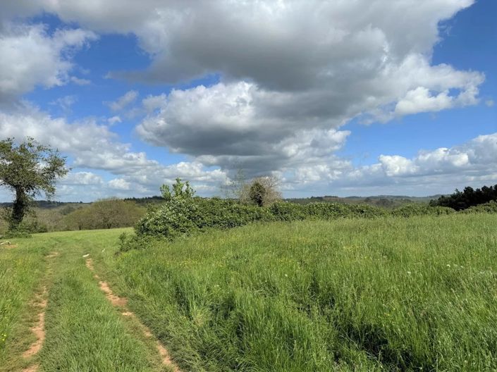 Image No.7-Maison à vendre à Frayssinet-le-Gelat