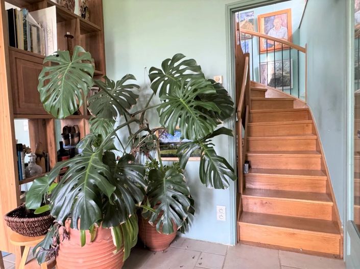 Image No.19-2 Bed House for sale