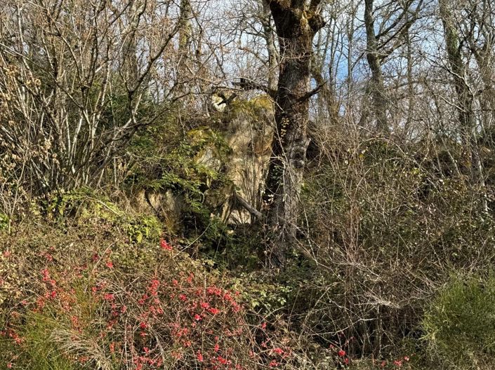Image No.25-Maison de 3 chambres à vendre à Cazals