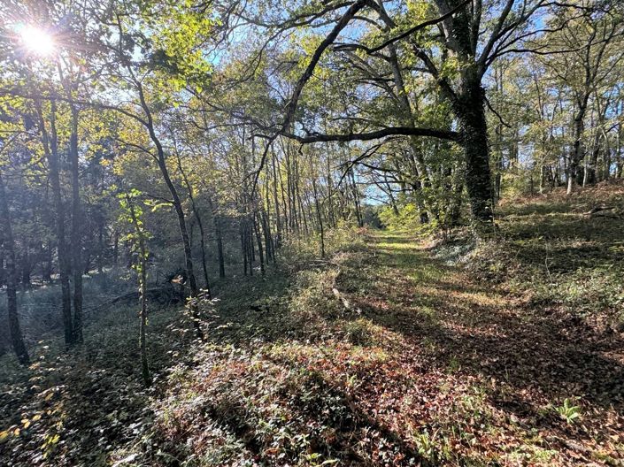 Image No.6-Maison de 3 chambres à vendre à Cazals