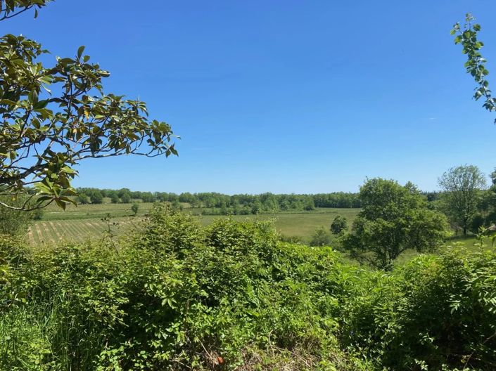 Image No.5-4 Bed House for sale