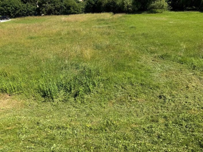 Image No.2-Terre à vendre à Cazals