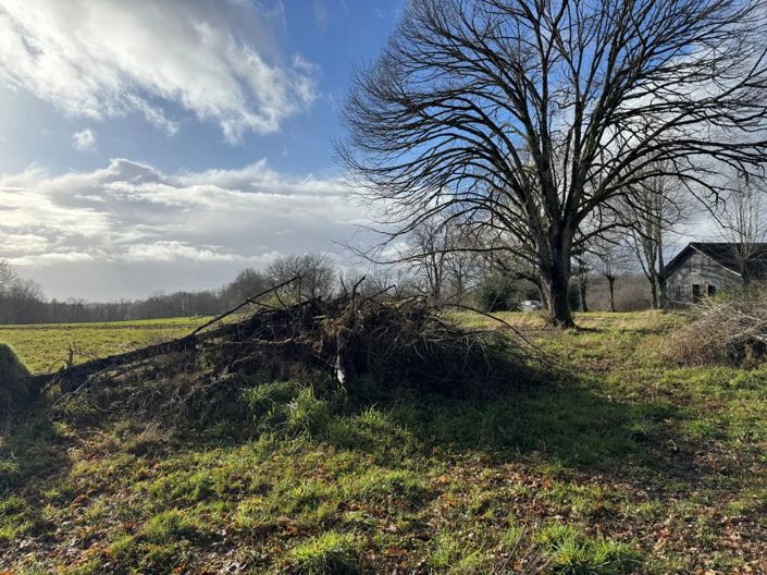 Image No.2-2 Bed House for sale