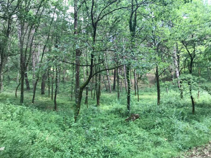 Image No.2-Land for sale