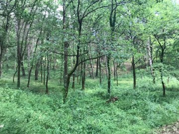 10296f64eb0b7f548c3756188582bec8ee82e3899f192